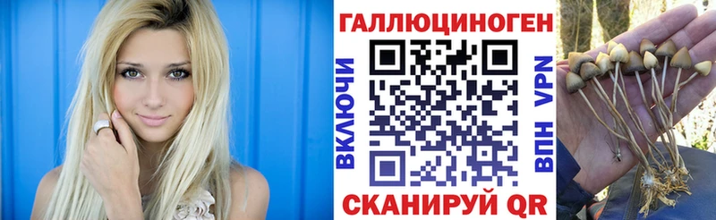 Псилоцибиновые грибы мухоморы  Благовещенск 