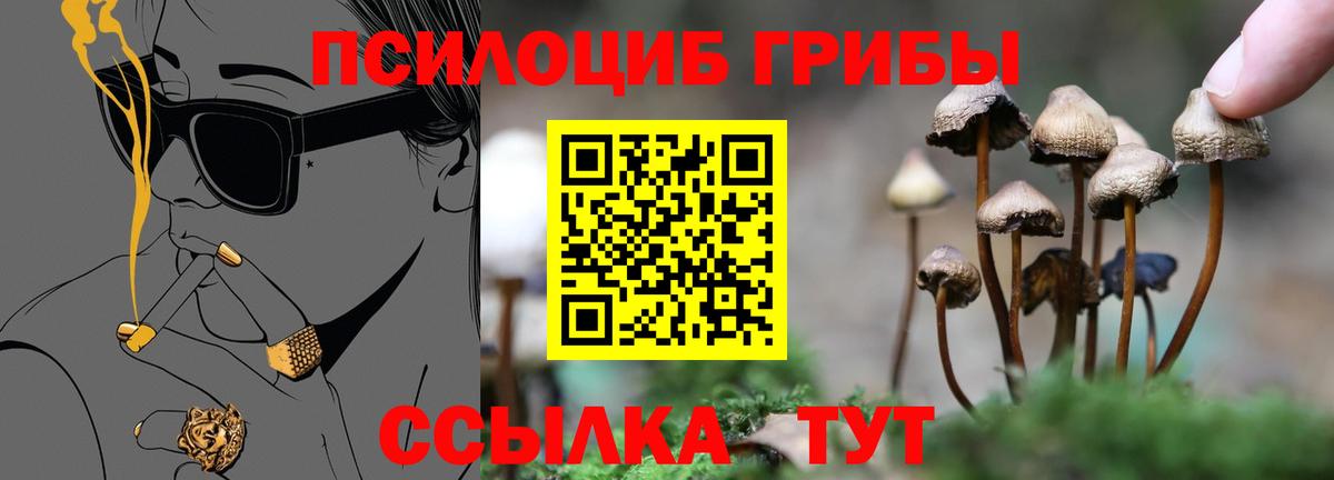 Галлюциногенные грибы Psilocybine cubensis  Галлюциногенные грибы MAGIC MUSHROOMS  Благовещенск  Вход с VPN 