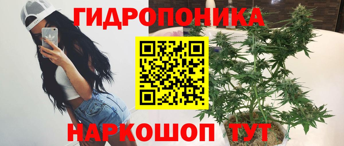 Бошки Шишки сатива Благовещенск